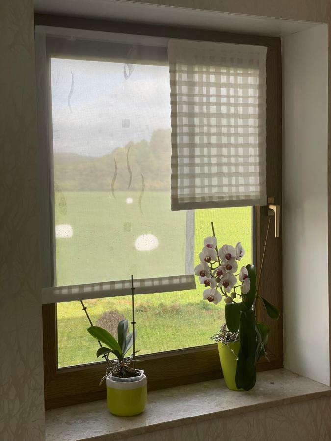 Ferienwohnung Fam.Werner Wasungen Extérieur photo